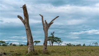 Burkina Faso weather forecast