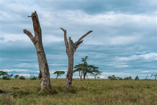 Burkina Faso weather forecast