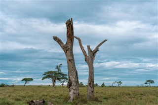 Burkina Faso weather forecast