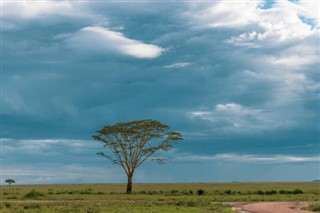 Burkina Faso weather forecast