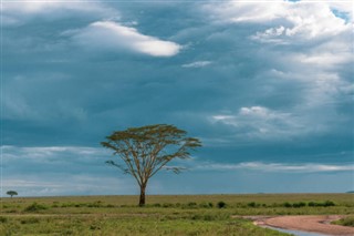 Burkina Faso weather forecast