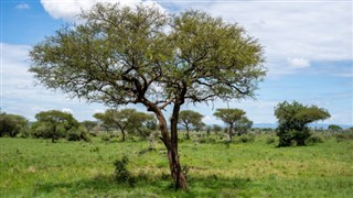 Burkina Faso weather forecast