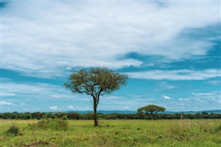 Burkina Faso weather forecast