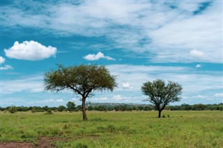 Burkina Faso weather forecast