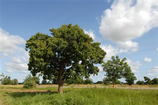 Burkina Faso weather forecast