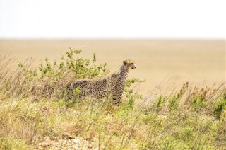 Burkina Faso pronóstico del tiempo