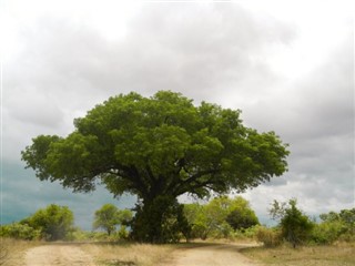 Burkina Faso weather forecast