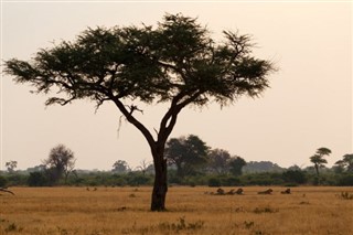 Burkina Faso weather forecast