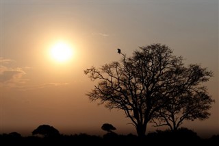 Burkina Faso weather forecast