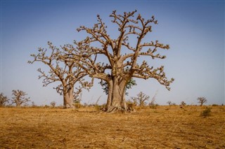 Burkina Faso prognoza pogody