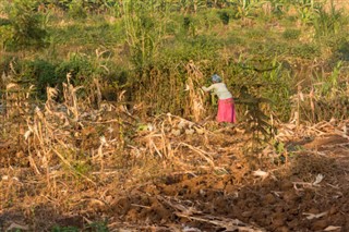 Burkina Faso weather forecast