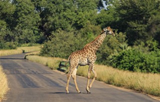 Burkina Faso weersvoorspelling