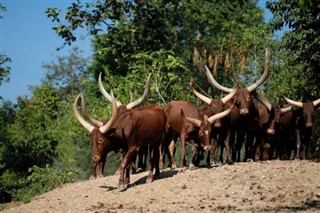 Burundi weather forecast