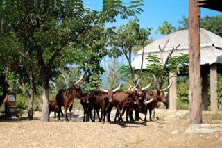 Burundi pronóstico del tiempo