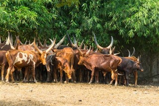 Burundi weather forecast