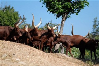 Burundi weather forecast