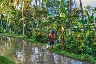 Cambodia weather forecast