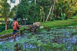 Cambodia weather forecast