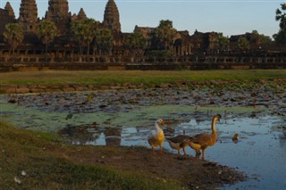 Cambodia weather forecast