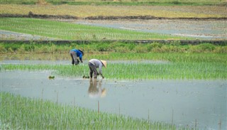 Cambodia weather forecast