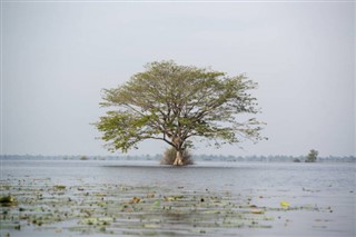 Cambodja weersvoorspelling