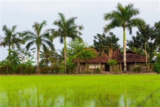 Cambodia weather forecast