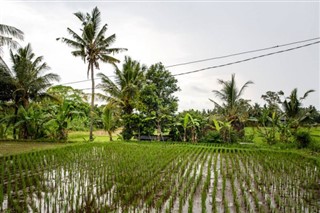 Cambodia weather forecast