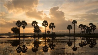 Cambodia weather forecast