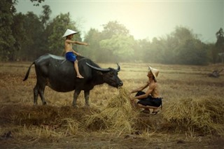 Cambodia weather forecast