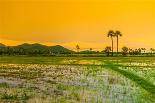 Cambodia weather forecast