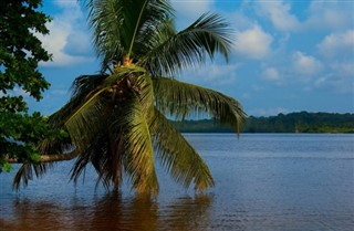 Cameroon weather forecast