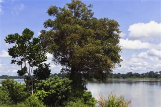 Cameroon weather forecast