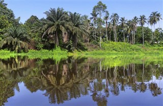 Cameroon weather forecast