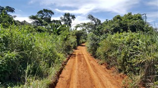 Cameroon weather forecast