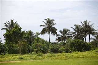 Cameroon weather forecast