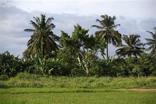 Cameroon weather forecast