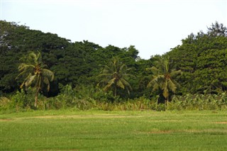 Cameroon weather forecast