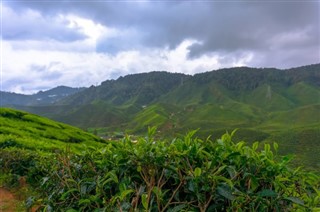 Cameroon weather forecast