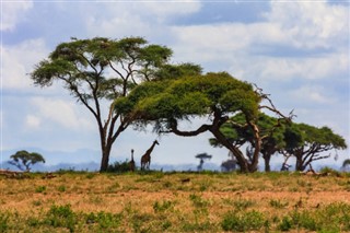 Camerún pronóstico del tiempo