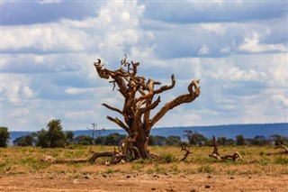 Cameroon weather forecast