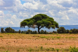 Cameroon weather forecast