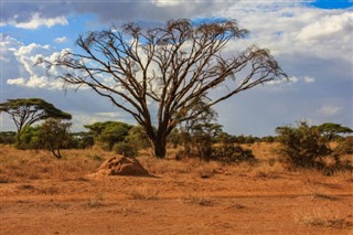 Cameroon weather forecast