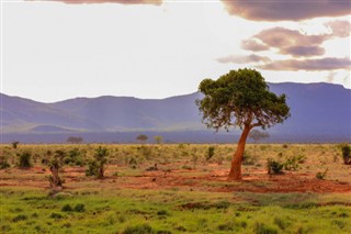 Camerún pronóstico del tiempo