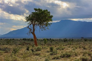 Cameroon weather forecast