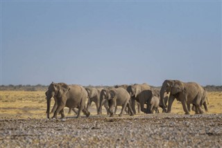 Camerún pronóstico del tiempo