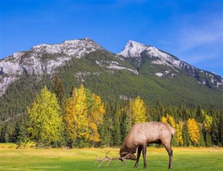 Canadá pronóstico del tiempo