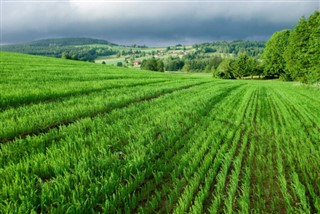 Wyspy Zielonego Przylądka prognoza pogody