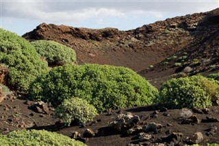 Cape Verde weather forecast