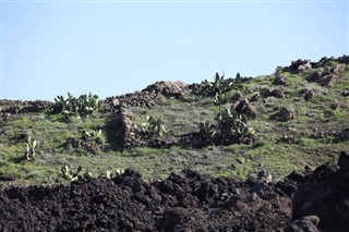 Cape Verde weather forecast