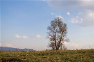 Wyspy Zielonego Przylądka prognoza pogody